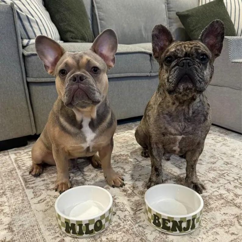 May include: Two French Bulldogs sit side-by-side, each with a matching food bowl. One dog is tan and gray, the other is brindle. The bowls are white with a green and white checkered pattern and the names "MILO" and "BENJI" printed on them.