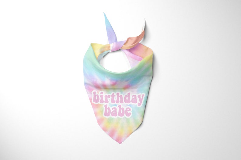 Birthday Babe Tie Dye Hundegeburtstag Bandana Hundegeburtstag Party Schal Bild 2