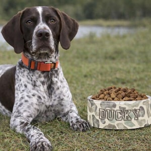 May include: A German Shorthaired Pointer dog with brown and white spotted fur wearing an orange collar. Beside the dog is a camouflage-patterned dog bowl filled with kibble, with the name "DUCKY" printed on it.