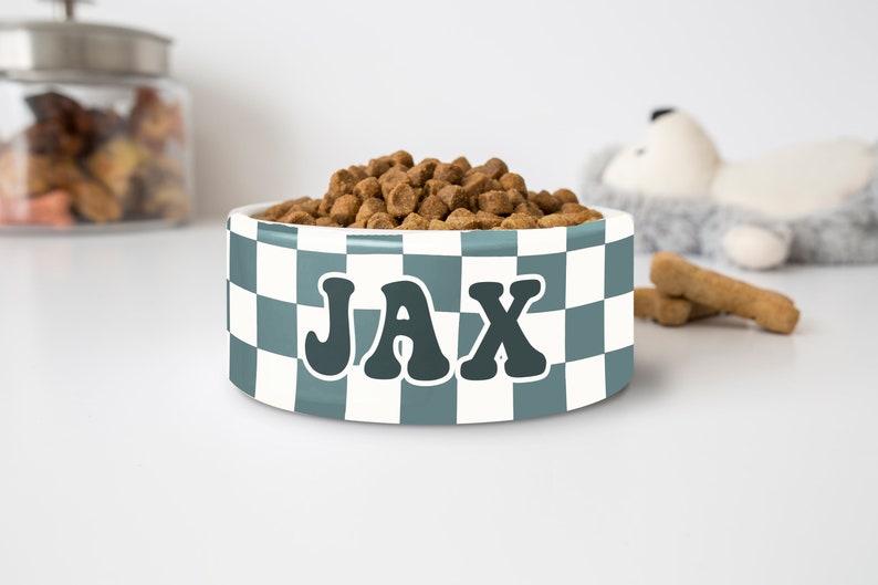 May include: A white and teal checkered dog bowl filled with brown kibble. The bowl has the name "JAX" in a retro font. A jar of treats and a stuffed animal are in the background.