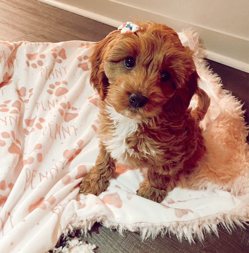 Pink Personalized Dog Blanket Girl Custom Pet Blanket Cat Etsy