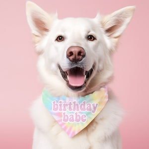 Birthday Babe Tie Dye Hundegeburtstag Bandana Hundegeburtstag Party Schal Bild 1