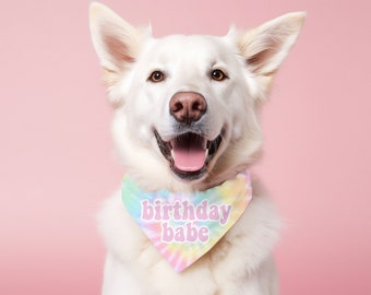 Birthday Babe Tie Dye Hundegeburtstag Bandana Hundegeburtstag Party Schal