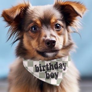 Checkered Birthday Dog Bandana Pet Birthday Party Bandana Dog Scarf