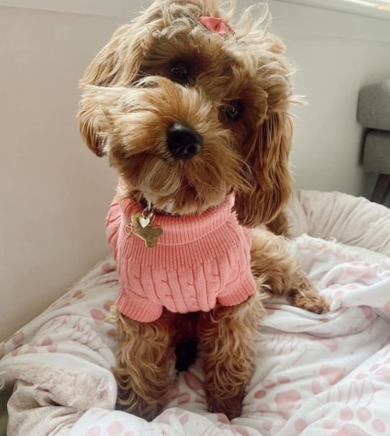 Pink Personalized Dog Blanket Girl Custom Pet Blanket Cat Etsy