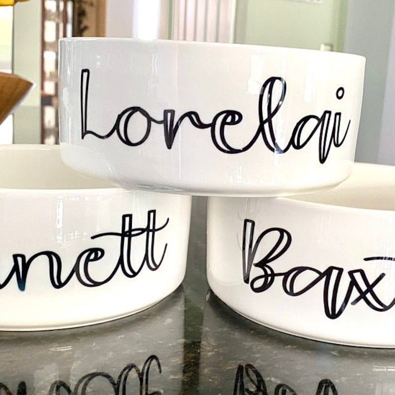 Personalized Dog Bowl Cat Pet Bowl with Name Gift for Pet Food Bowl Water Bowl Small Cat Bowls Ceramic 6 or 7 White 1 image 5