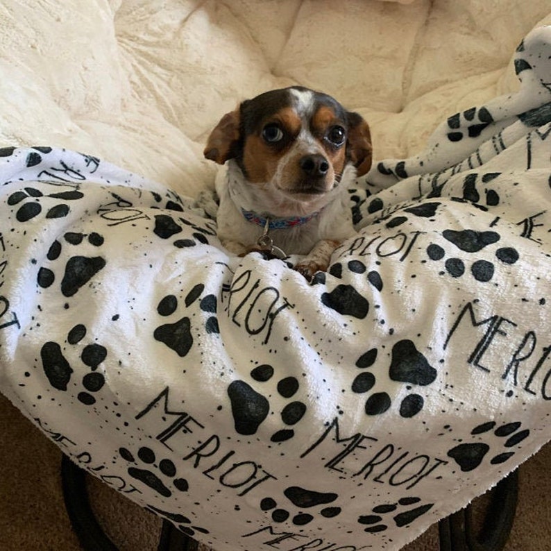 Will A Blanket Over My Dog S Crate at Nelda Lindsey blog