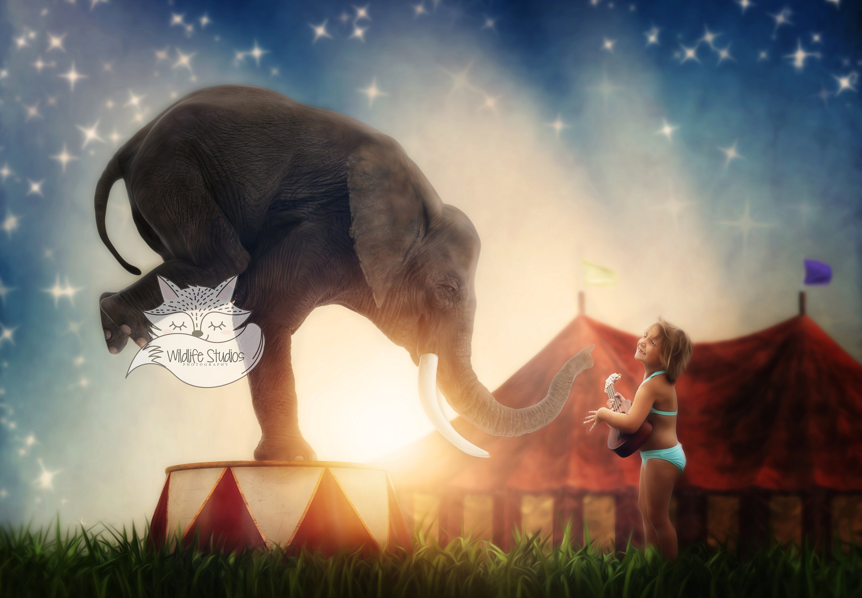 Circus Dreams Etsy