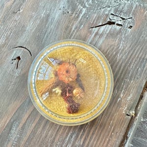 Vintage Lucite / Acryl Briefbeschwerer mit getrockneten Blumen 3 ”mit Filz auf der Unterseite, Geschenkidee für Sammler, Bürodekor, VTG Sammlerstück