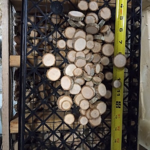 May include: A black plastic crate filled with a large quantity of small, round, wooden slices. The slices are arranged in a random pattern and are approximately 1 inch in diameter. A yellow measuring tape is visible on the right side of the image, with the numbers 11, 12, 13, 14, 15, 16, 17, and 18 visible.