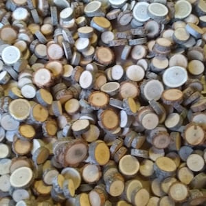 Small wood slices