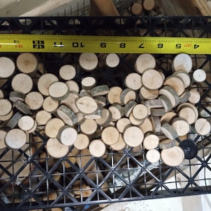 May include: A black plastic container filled with approximately 50 small, round, wooden slices. The slices are about 1 inch in diameter and have a natural wood color. A yellow measuring tape is visible at the top of the container.