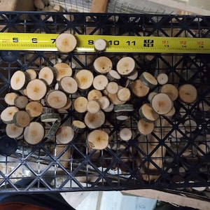 Small cherry wood slices