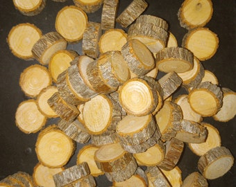 Small sassafras wood slices