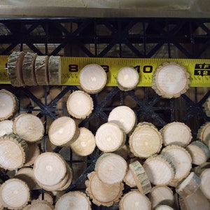 May include: A close-up of a pile of small, round, wooden slices. The slices are about 1 inch in diameter and have a natural wood color. A yellow measuring tape is visible at the top of the image, with the numbers 12 and 13 visible.