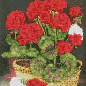 Magic Geranium - Counted Cross Stitch Patterns - Printable Chart PDF ...