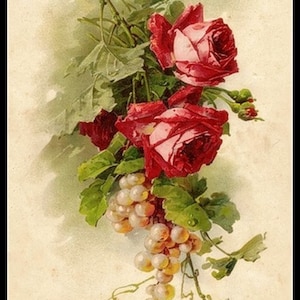 Roses and Grapes - Counted Cross Stitch Patterns - Printable Chart PDF Format Needlework Embroidery Crafts DIY DMC color