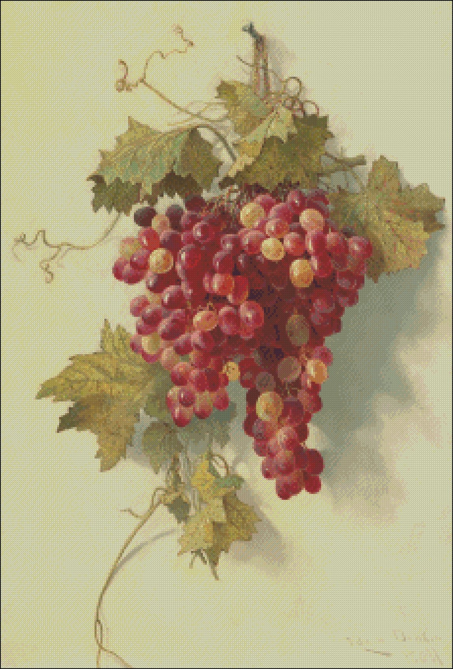 Grapes Against White Wall Counted Cross Stitch Patterns - Etsy