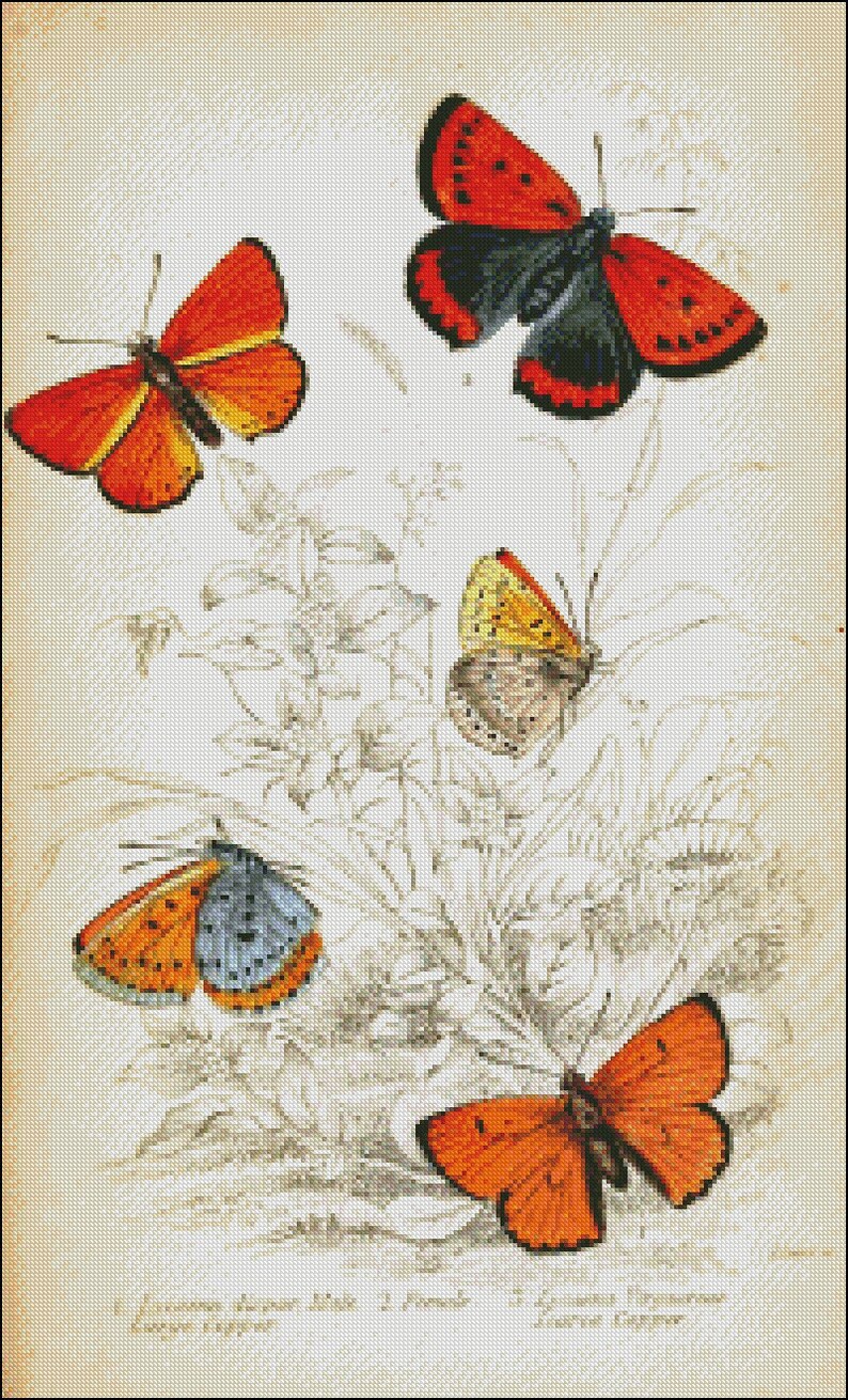Five Butterflies Counted Cross Stitch Patterns Printable Etsy
