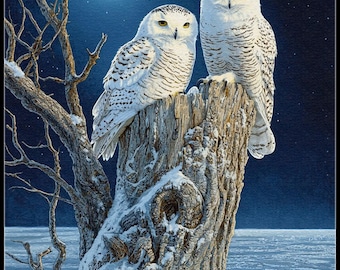 Snowy Owls 2 - Counted Cross Stitch Patterns - Printable Chart PDF Format Needlework Embroidery Crafts DIY DMC color