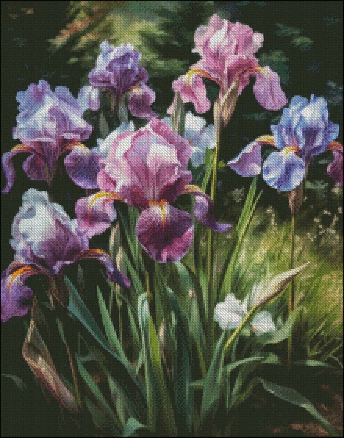 Iris in Garden Counted Cross Stitch Patterns Printable Chart PDF Format ...