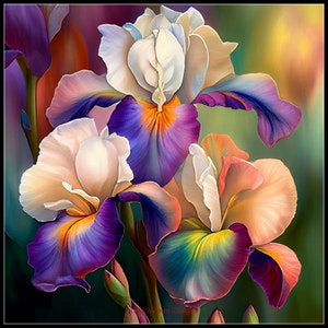 May include: A close-up of three vibrant iris flowers with white, purple, and orange petals. The flowers are in focus, while the background is blurred.