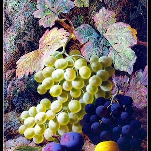 May include: A still life painting featuring a cluster of green grapes, a bunch of dark purple grapes, two blue plums, a yellow pear, and a red strawberry. The grapes are hanging from a vine with green and purple leaves. The fruit is arranged on a brown surface with a dark background.