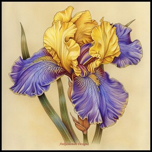 Iris van goud 2 - getelde kruissteekpatronen - afdrukbare grafiek pdf-formaat handwerken borduren ambachten DIY DMC kleur