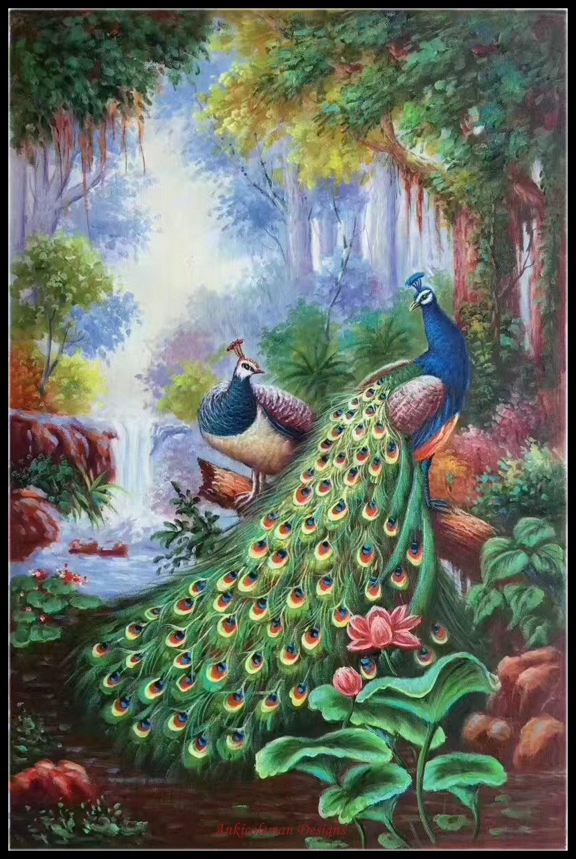 画材 Peacockesque 画材 Peacockesque Amazon.com: Peacock Paint by Numbers for Adults