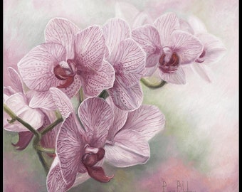 Graceful Orchids - Counted Cross Stitch Patterns - Printable Chart PDF Format Needlework Embroidery Crafts DIY DMC color