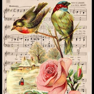 Puede incluir: Una página de música vintage con el título "Moonlight and Roses (Bring Mem'ries of You)" que presenta dos pájaros posados en una rama, una rosa rosa y una pequeña escena de invierno. La partitura musical incluye notas musicales y letras.