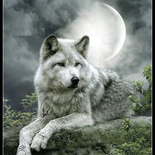 Night Wolf Counted Cross Stitch Patterns Printable Chart - Etsy