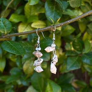 Pearly Shell Mini Cluster