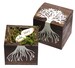 Growing Together Wishing Beans in a Tree Wood Box + Green Grass Moss - Custom Wooden Personalized Gifts - Bride Groom Birthday Bridal Shower