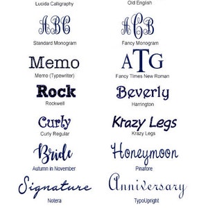 May include: A white background with a blue graphic of different font styles. The fonts are labeled with their names and descriptions. The text at the bottom reads "COMPANY LOGO" in black and "SPACEX" in blue.