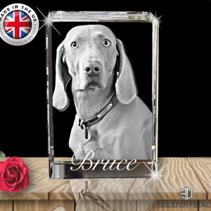 Pet Portrait Personalised 3D Crystal- Large - Laser Engraved - Image & Text - Unique Gift Idea for Pet Dog, Cat, Horse, etc