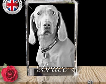 Personalized Pet Portrait 3D Crystal - Medium - Laser Engraved - Image & Text - Unique Gift Idea for Dog, Cat, Horse - Custom Keepsake