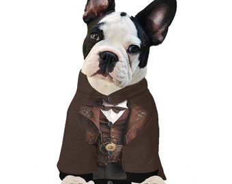 Steampunk Dog Costume Hoodie For Dogs