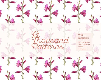 Gladiolos Silvestres Rosas | Patrón Floral Primaveral Seamless | Manualidades y Papelería | Papel Digital