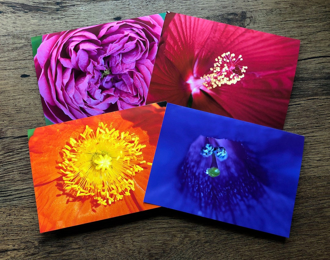 Flower Photo Greeting Cards, Card Assortment, Blank Inside Stationery ...