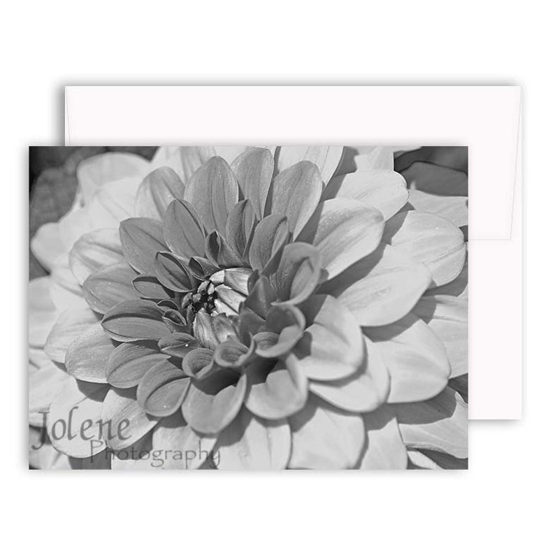 Black &amp; White Greeting Card Assortment / BW Photo Greeting - Etsy