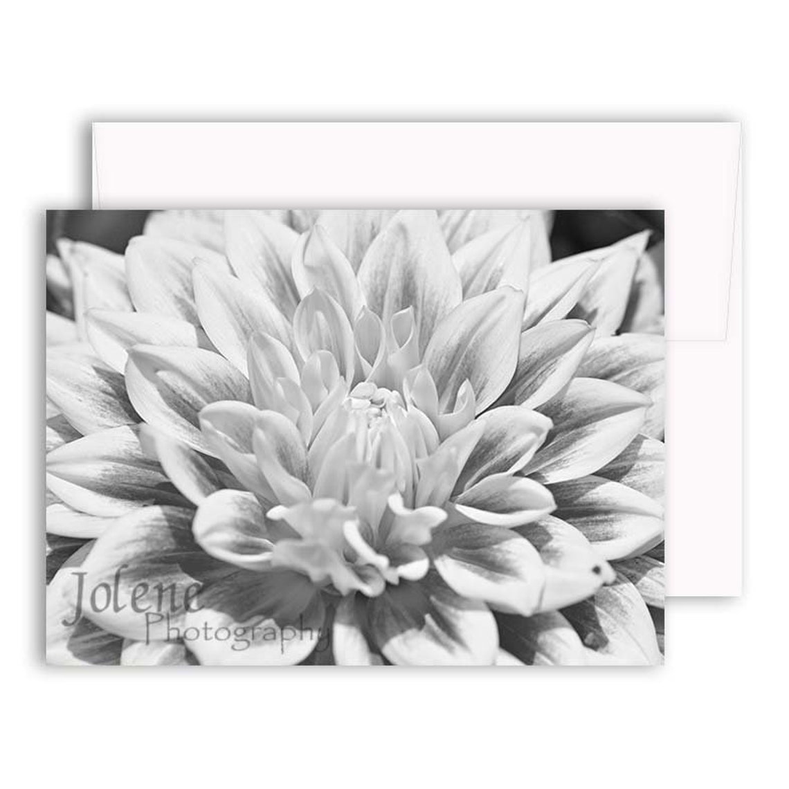 Black &amp; White Greeting Card Assortment / BW Photo Greeting - Etsy