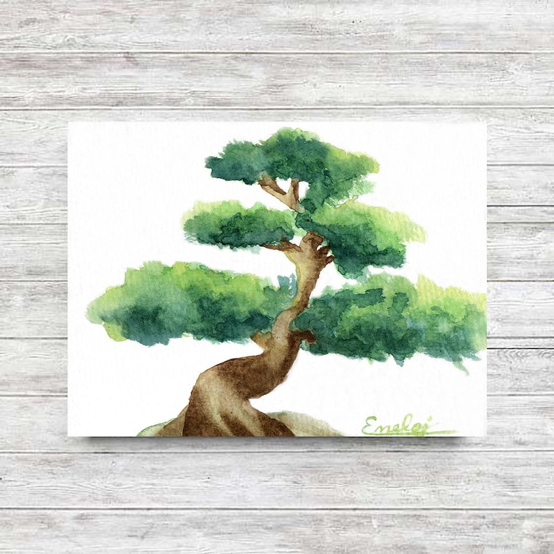 Puede incluir: Pintura de acuarela de un &aacute;rbol bons&aacute;i con un tronco grueso y hojas verdes. El &aacute;rbol est&aacute; pintado sobre un fondo blanco. La firma del artista, "Emsley", est&aacute; en la esquina inferior derecha.