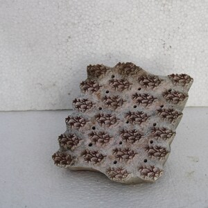 May include: A brown wooden block printing stamp with a repeating pattern of small floral designs. The stamp has a slightly irregular shape and is worn with age.