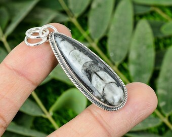 Orthoceras Edelstein Anhänger Fossil Anhänger Orthoceras Anhänger Handgefertigter Silber Anhänger Fossil Schmuck Anhänger Valentinstag Geschenk Anhänger
