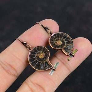 Op de afbeelding: Een paar oorbellen met fossiele ammonieten schelpen met koperen draadaccenten en groene kristalaccenten.