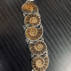 May include: A silver bracelet featuring five fossilized ammonite stones. The stones are brown and have a spiral pattern. The bracelet has a silver clasp.
