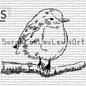 SVG Red-Capped Robin, Red Robin, Illustration, Clipart, Bird SVG, Vector Image, Cut File, Digital Download, png, pdf, jpg, realistic, drawn
