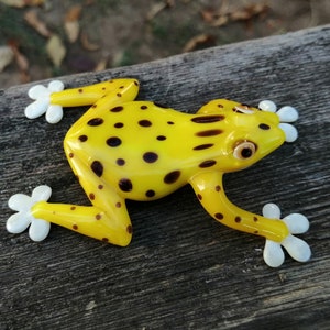 Glass frog, hand blown glass frog figurine, frog ornament, murano frog, glass reptiles, glass animals, glass figurine, glass collectible