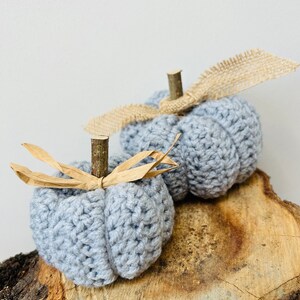 May include: Two crocheted grey pumpkins with brown burlap ribbon stems. The pumpkins are sitting on a wooden slice.